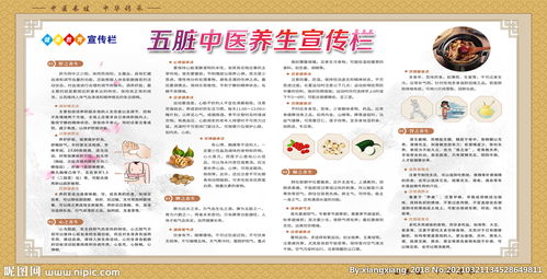 五臟中醫養生 調和陰陽，身心和諧